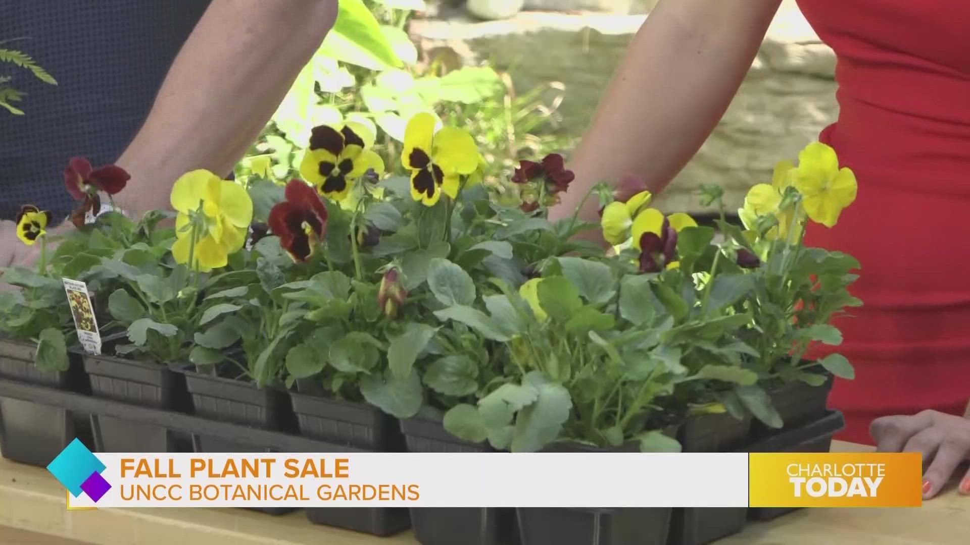 UNC Charlotte Botanical Gardens is hosting a fall plant sale