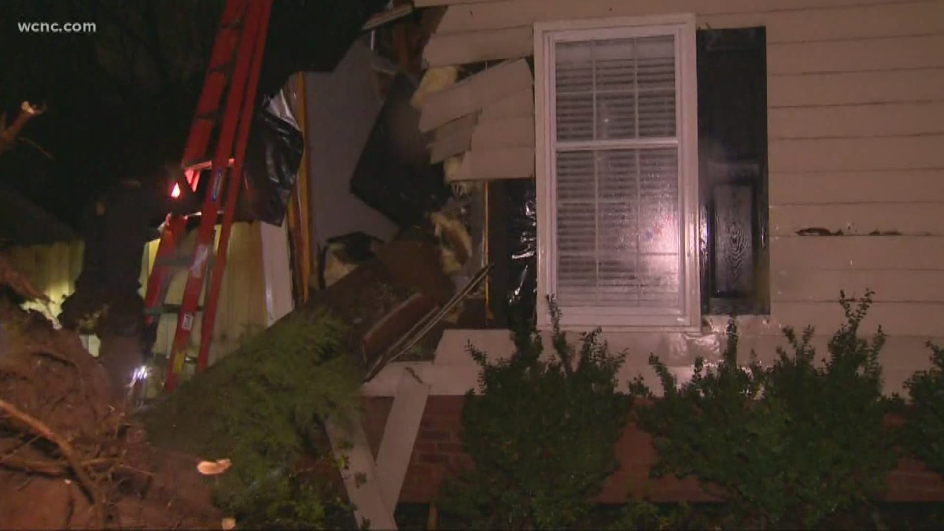 Severe storms Thursday brought down countless trees. Clean-up is underway.