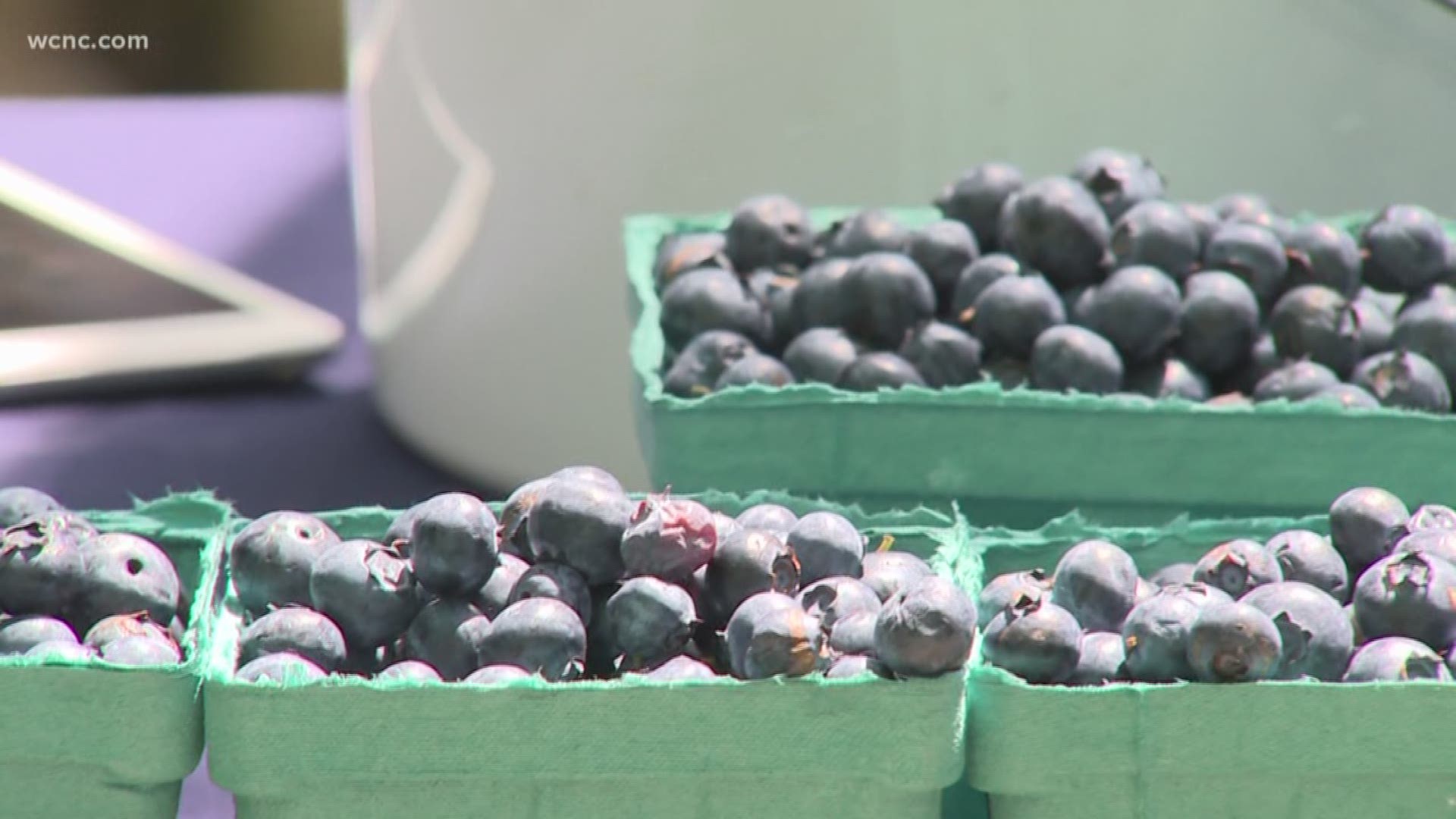 Blueberries are high in vitamin-c and antioxidants plus they’re considered a super fruit! They’re in season right now which makes them even more delicious.