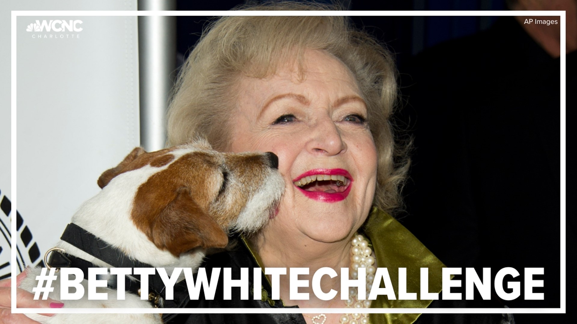 Betty White would have turned 101 on January 17, 2023. In honor of her memory, American Humane is once again spearheading the #BettyWhiteChallenge.