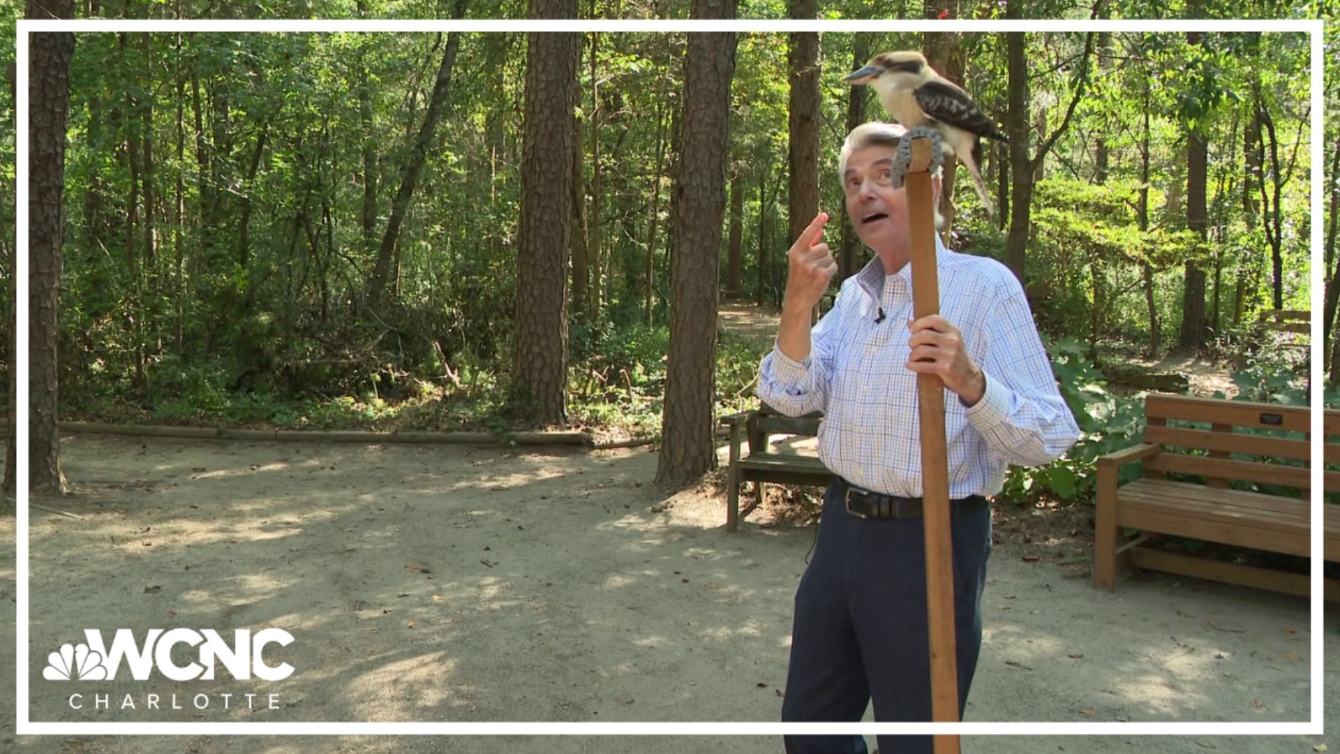 Strange noises can be heard in the wooded outskirts of Huntersville, where the Carolina Raptor Center rehabilitates birds and educates humans.