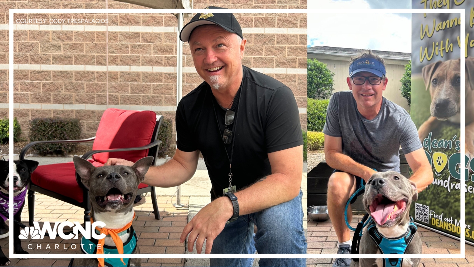 Several furry friends got to hang with Hootie & The Blowfish and Edwin McCain on Thursday!