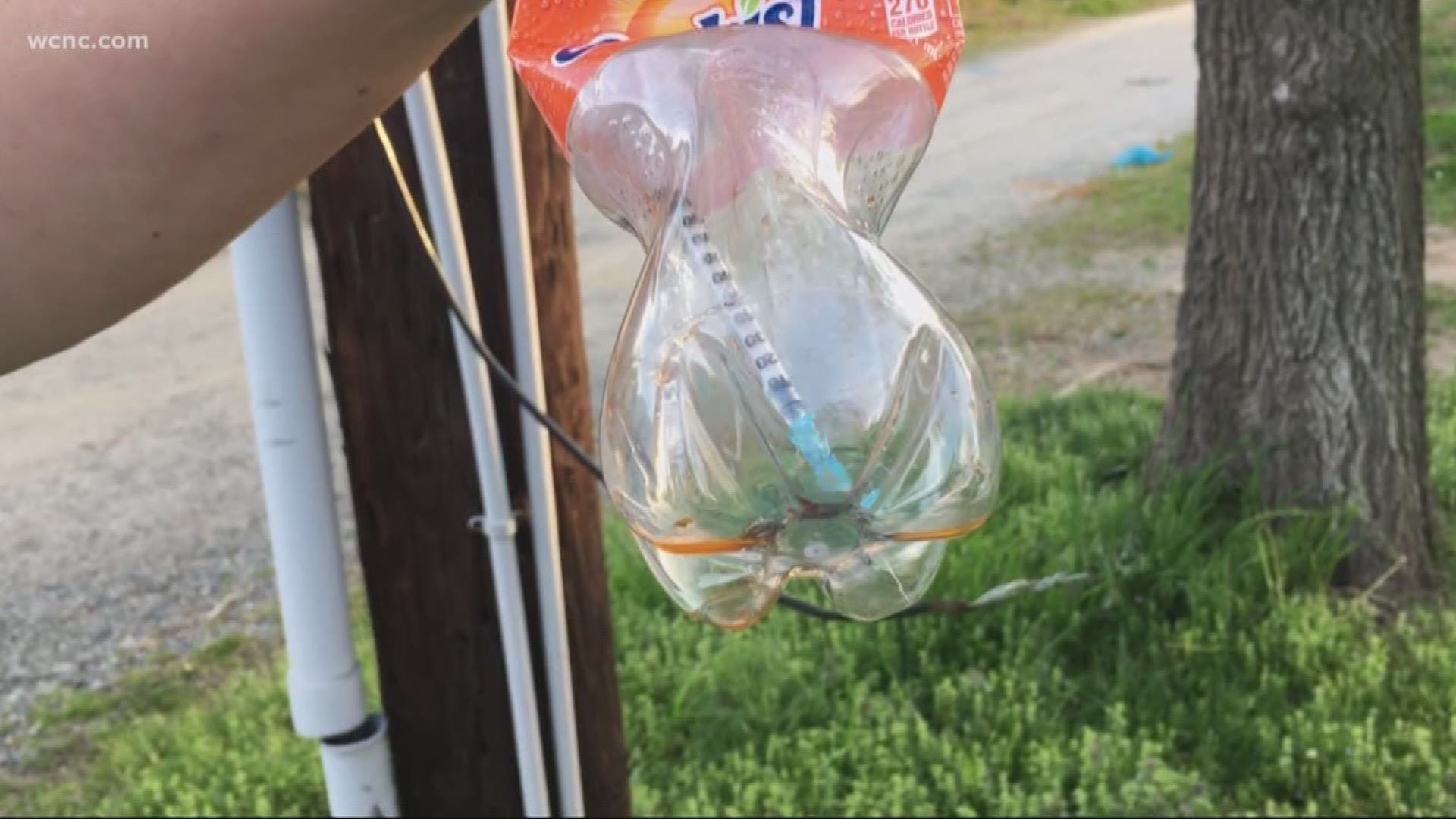 A drug epidemic that is gripping the nation has landed in a local woman's front yard. Now she's forced to "walk the yard" before letting her kids go outside to play.