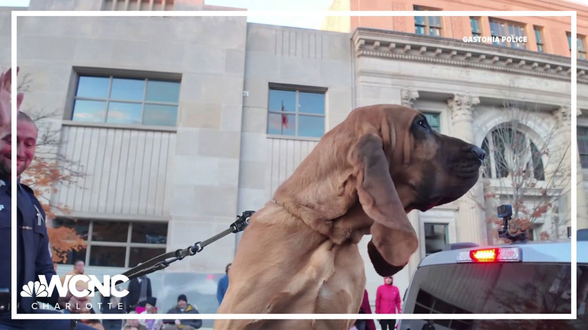 Gastonia's annual Christmas parade featured a special guest over the weekend! Bo, the award-winning Gastonia police K-9, served as grand marshal. 