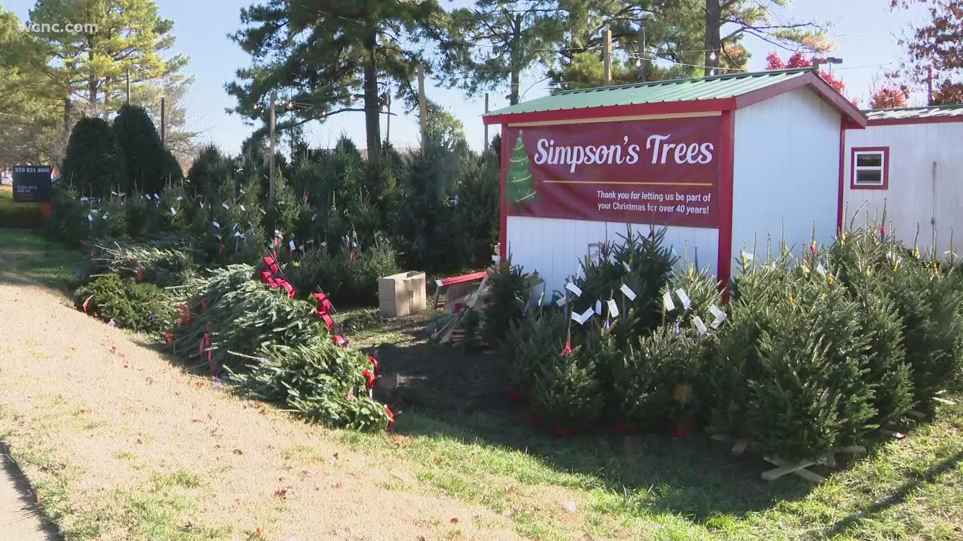 If you’re a real Christmas tree person, now is the time to find that perfect tree. Is the supply chain affecting local Christmas Trees?