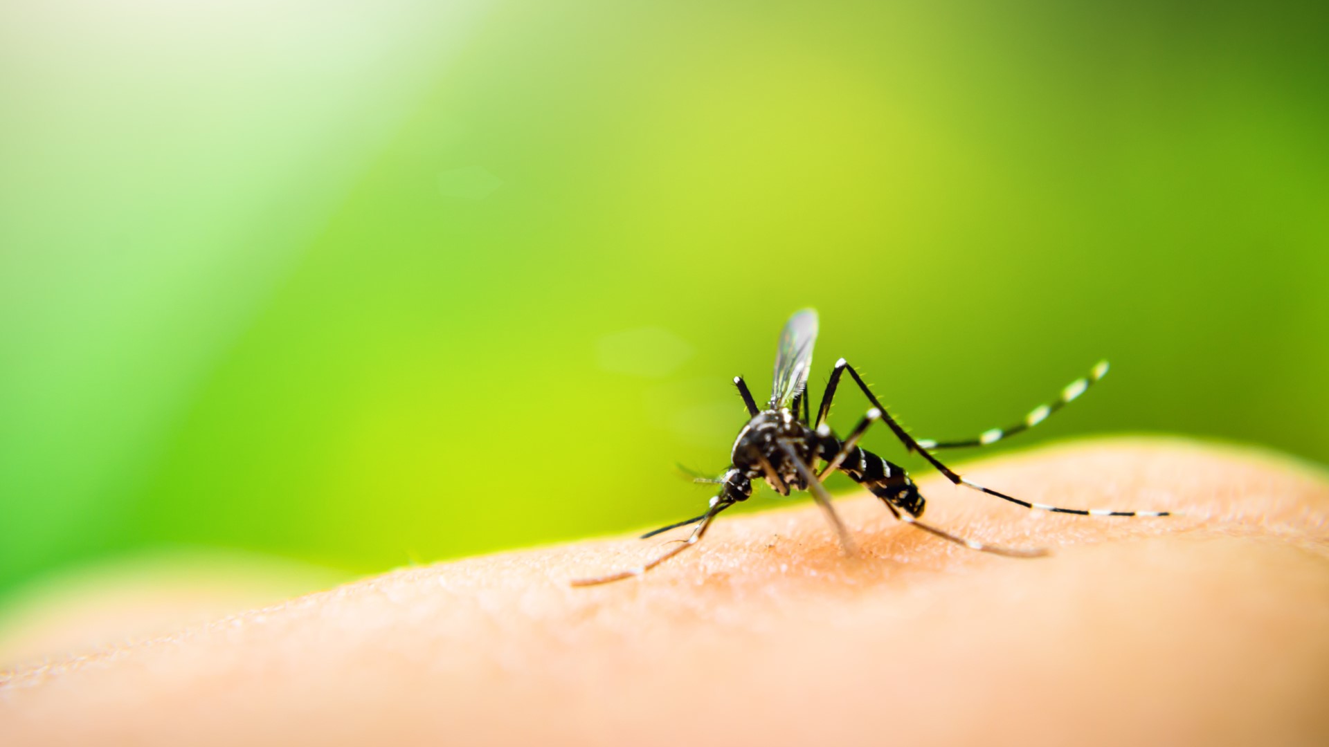 Researchers in North Carolina have a new solution for keeping those pesky mosquitoes away from you.