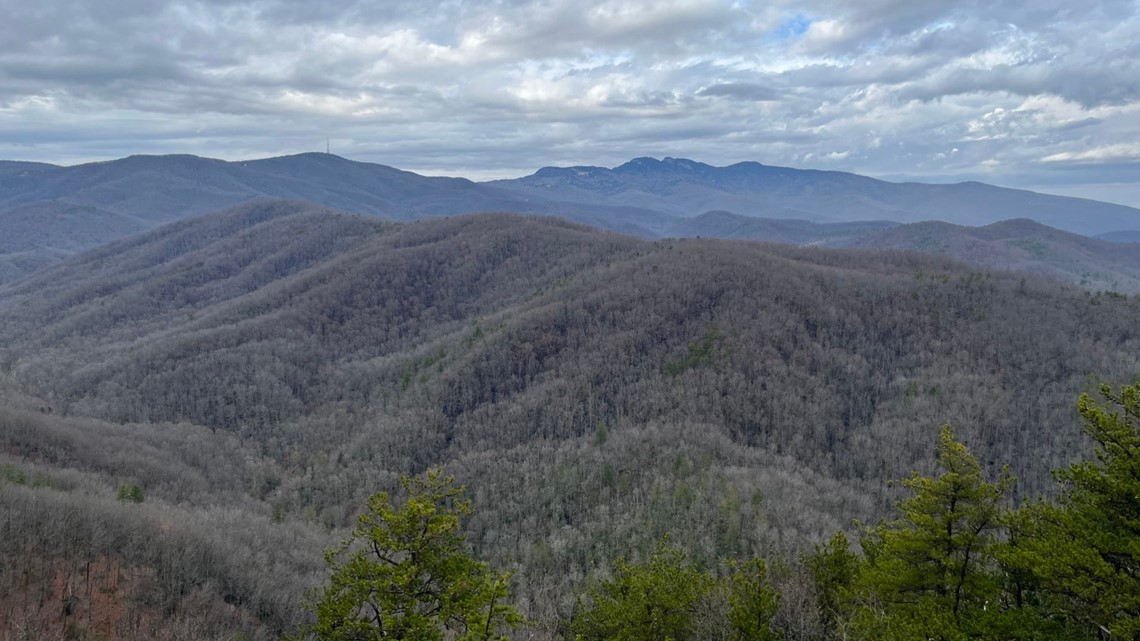 Fire in Linville now 100% contained, estimated at 1,000 acres - Vimarsana News