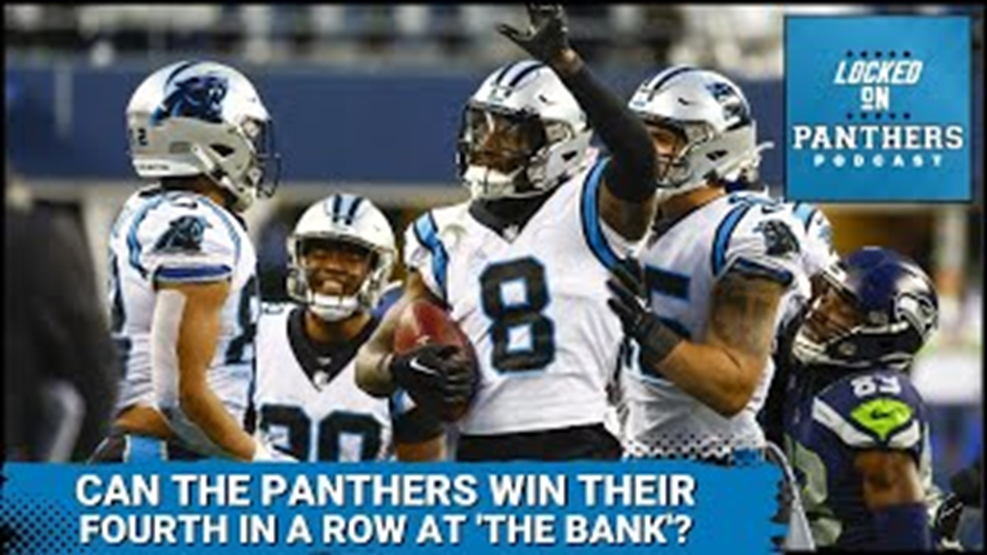 Panthers lose, 24-16, to Steelers