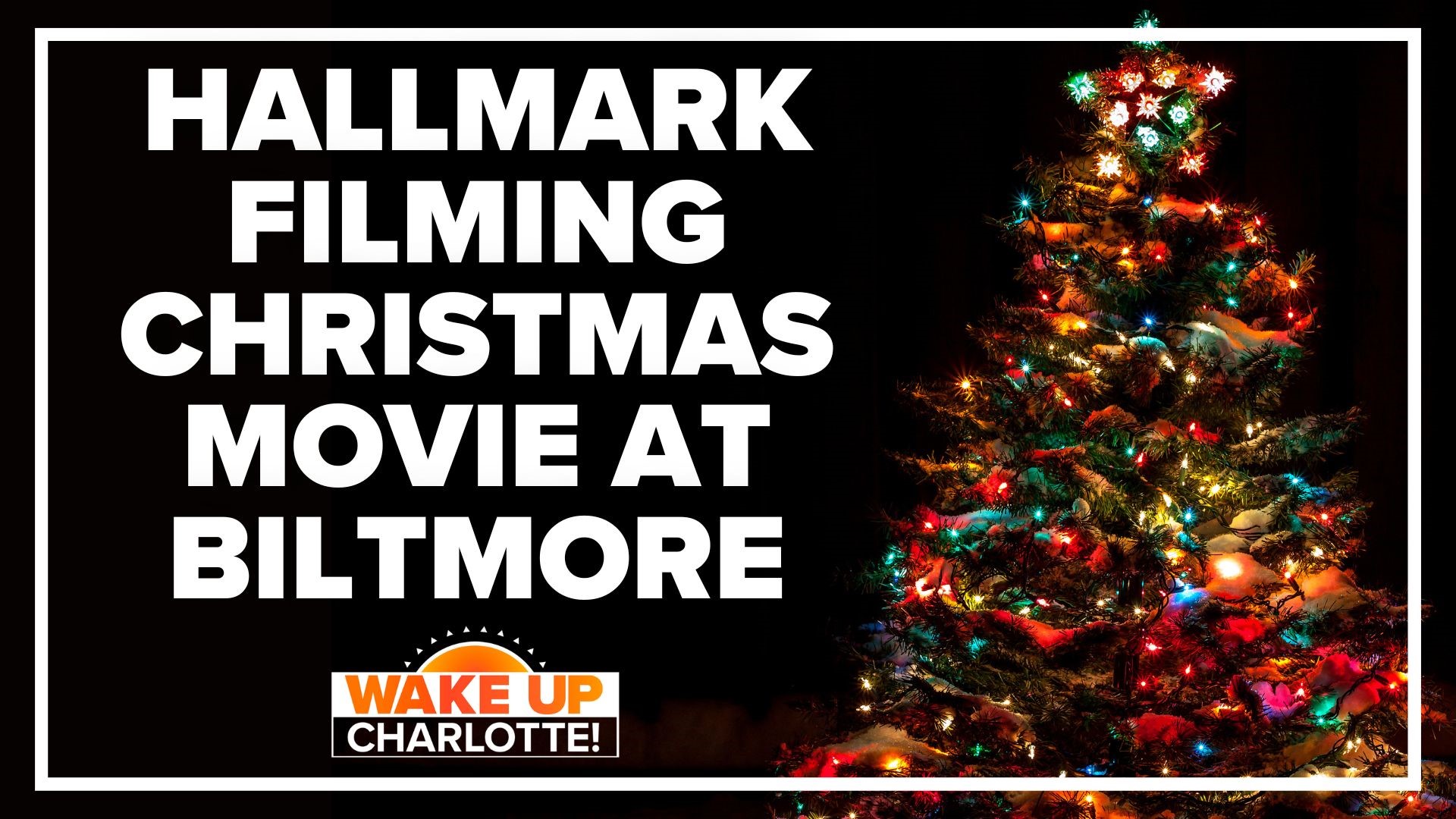 Hallmark Channel reveals details on 'A Biltmore Christmas' movie