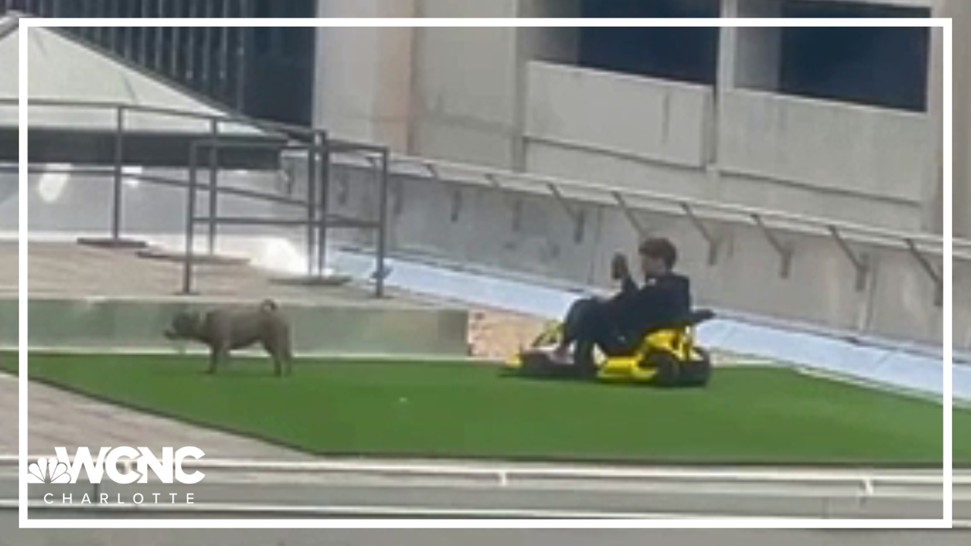 A fun moment caught on camera this week. Lamelo Ball having a good time on the roof of his new Uptown condo.