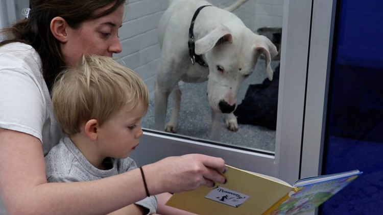 Kids practice reading skills by reading aloud to shelter pets
