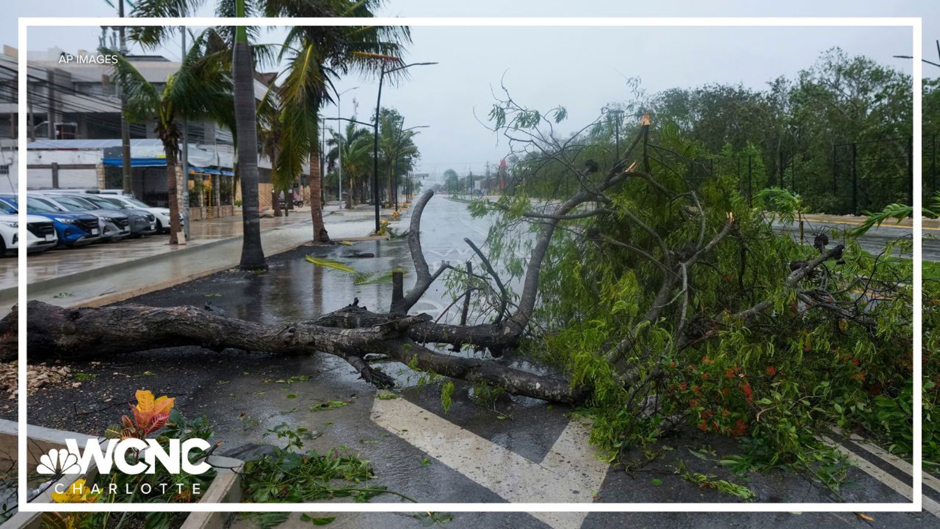 Why hurricane season predictions seemed off this year