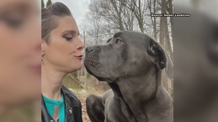 Winston-Salem woman saved by her service dog