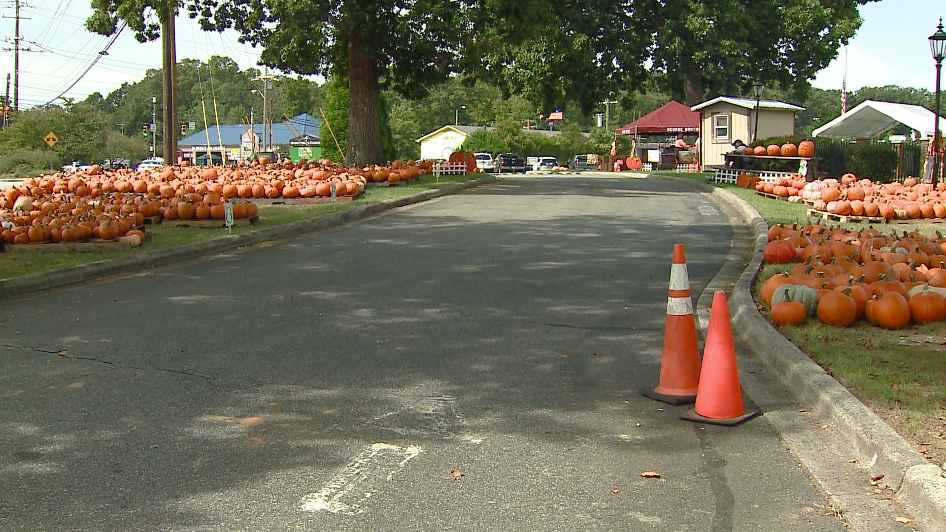 Mount Pisgah Church in Greensboro has been selling pumpkins during fall for 30 years! But this year, they’re doing things differently because of the pandemic.