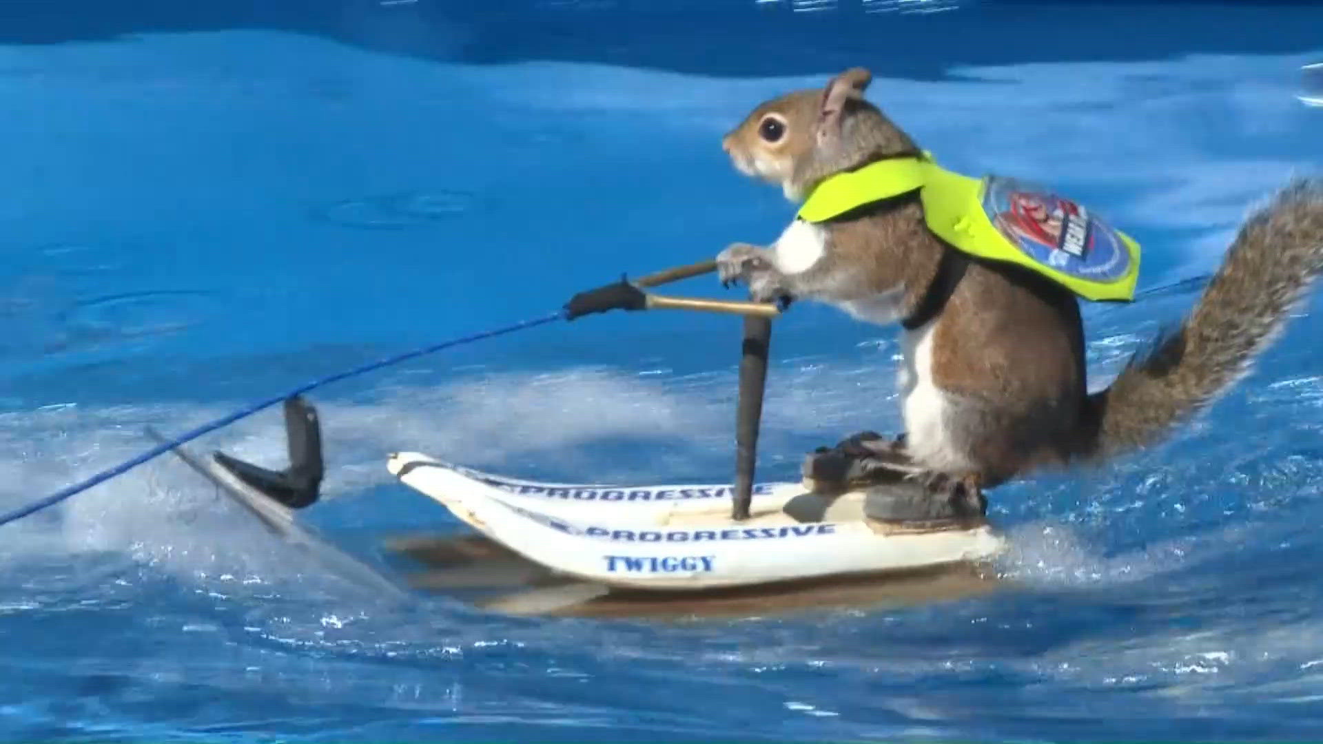 Live animal exhibit teaches others about water safety | wfmynews2.com