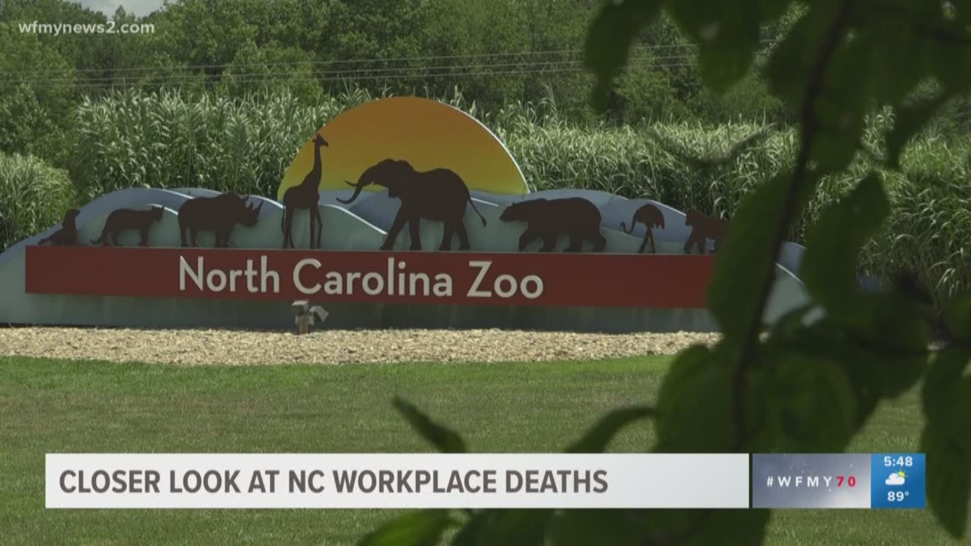 As state officials investigate the death at the North Carolina Zoo, we talked to an expert who says some workplace deaths are preventable.