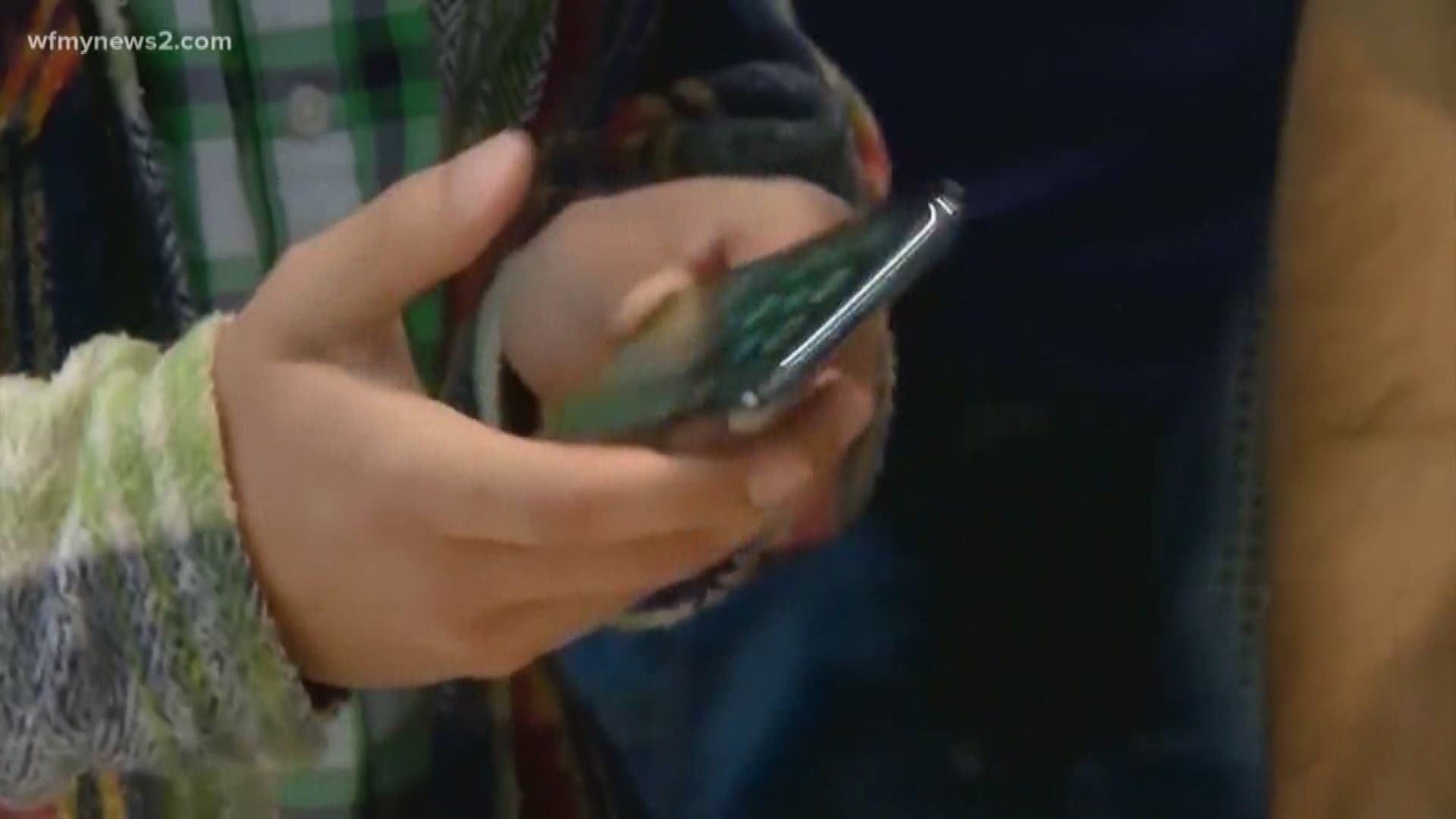 NC Police Warn Of Phone Scam Costing Hundreds Of Dollars