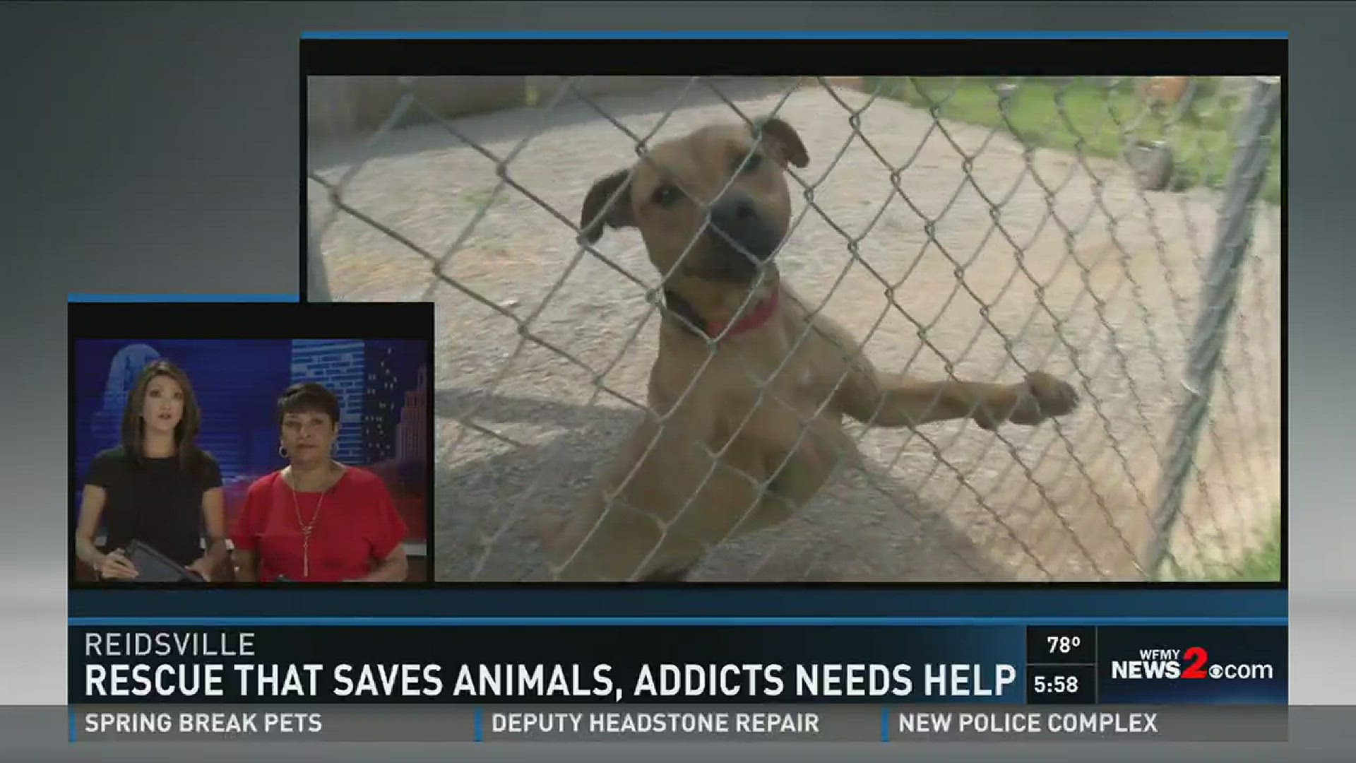 Rockingham Co. Animal Rescue That Saves Animals, Addicts Needs Donations |  