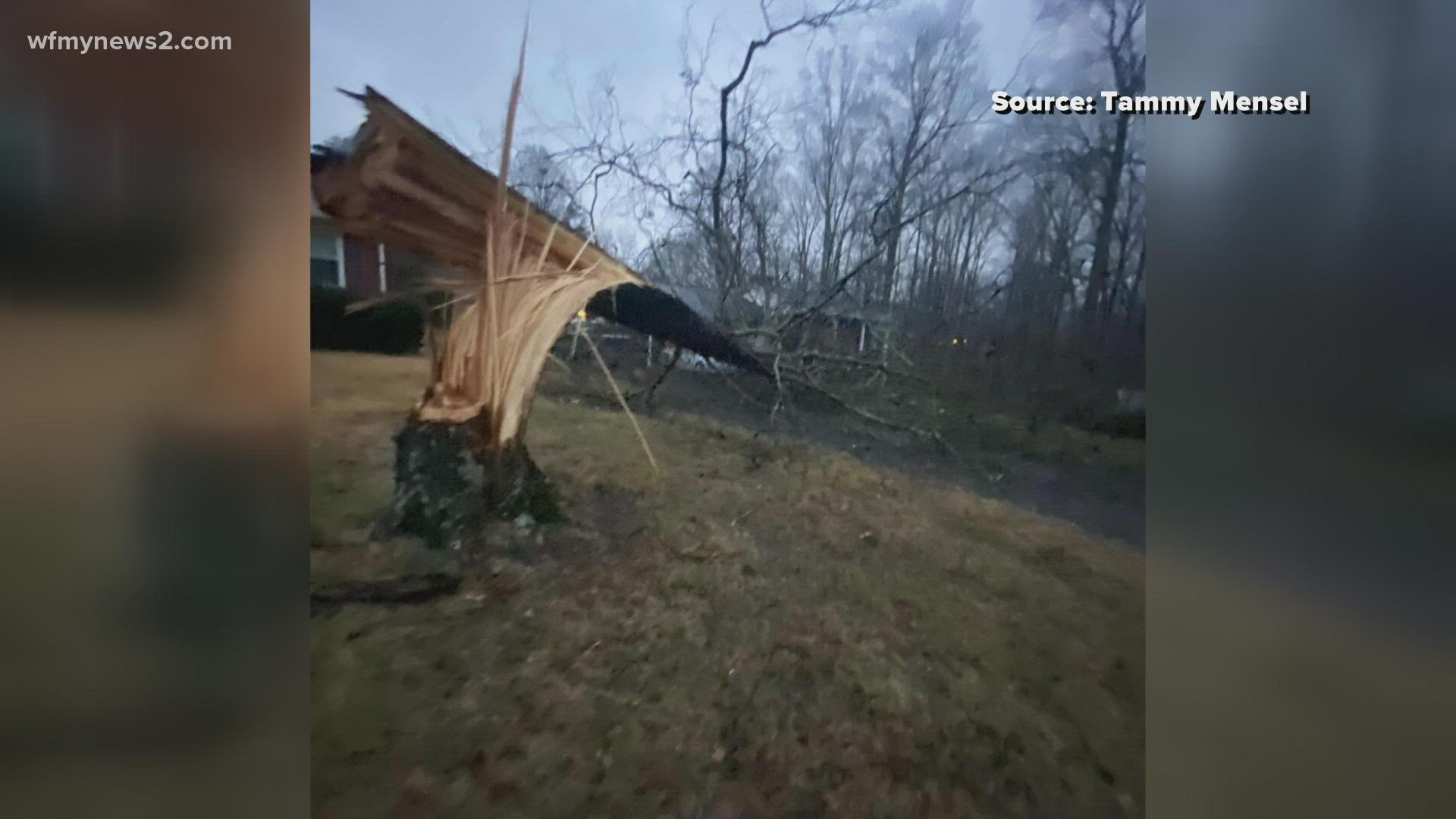 One Archdale family had to stay in a hotel after a tree fell on their home.