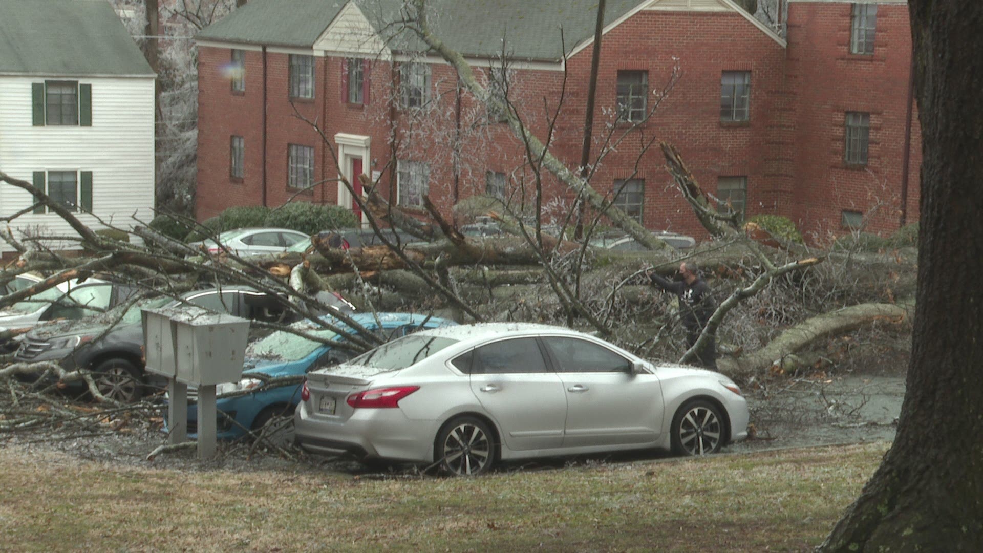 A huge tree fell on five cars parked at a Winston-Salem apartment complex. No one was hurt.