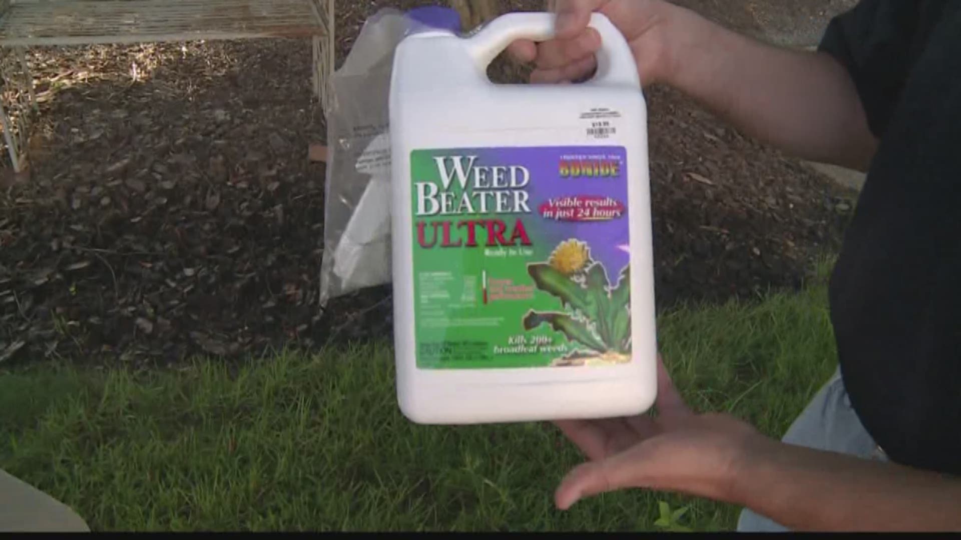 Killing Weeds On Your Lawn