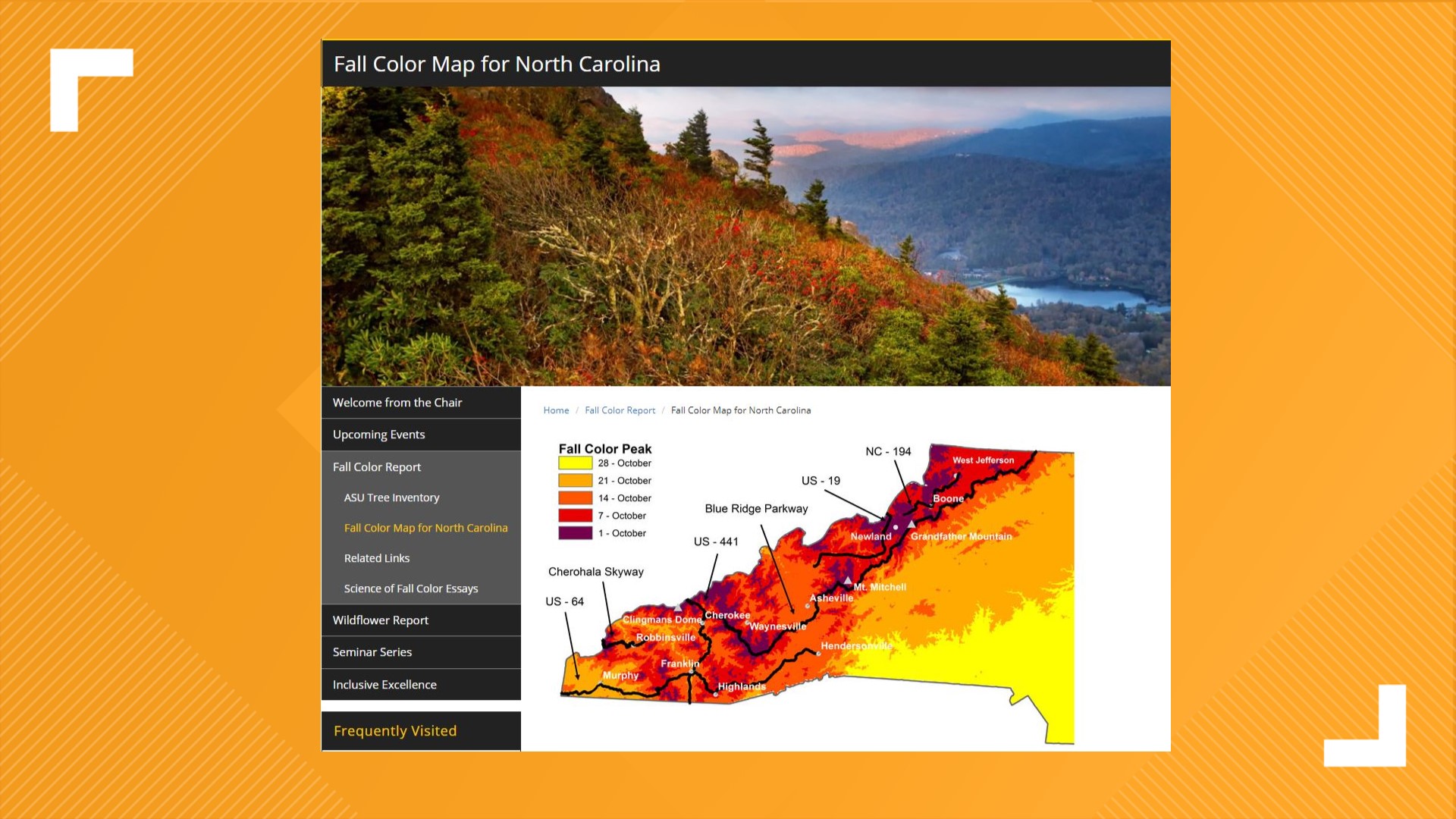 Hot summer could dull leaf season, but it'll be better than 2020 ...