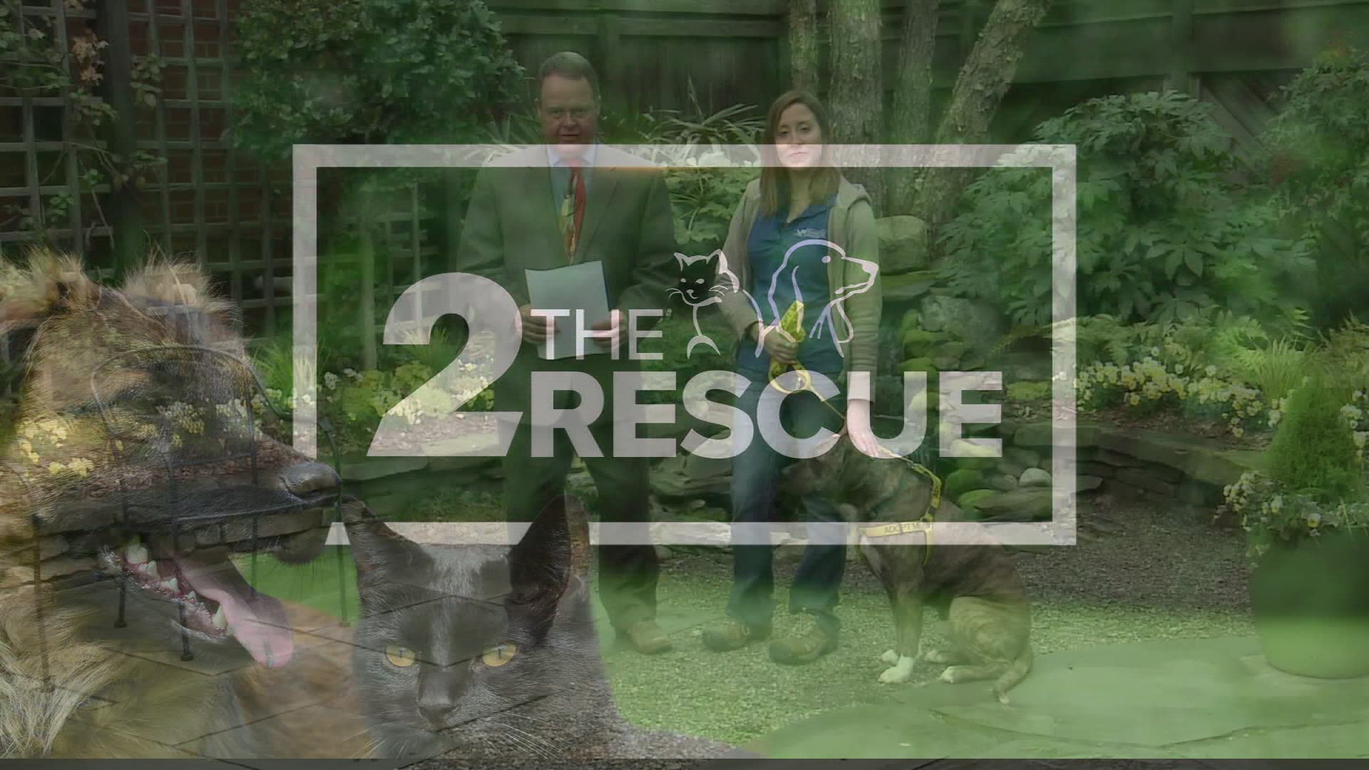 Two The Rescue Backdrop 2 The Rescue: Meet Jamal | wfmynews2.com