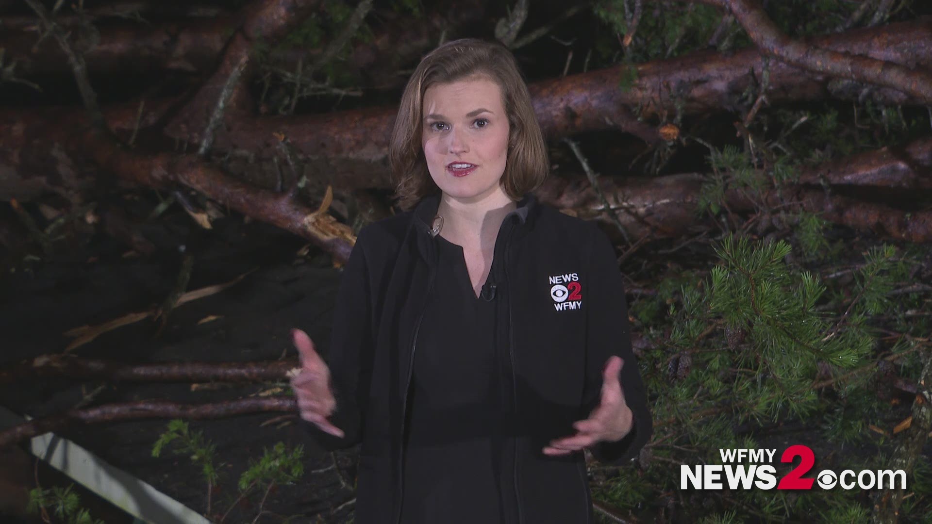 Hail-producing storms hit the Triad on Friday afternoon, bringing down trees and power lines.