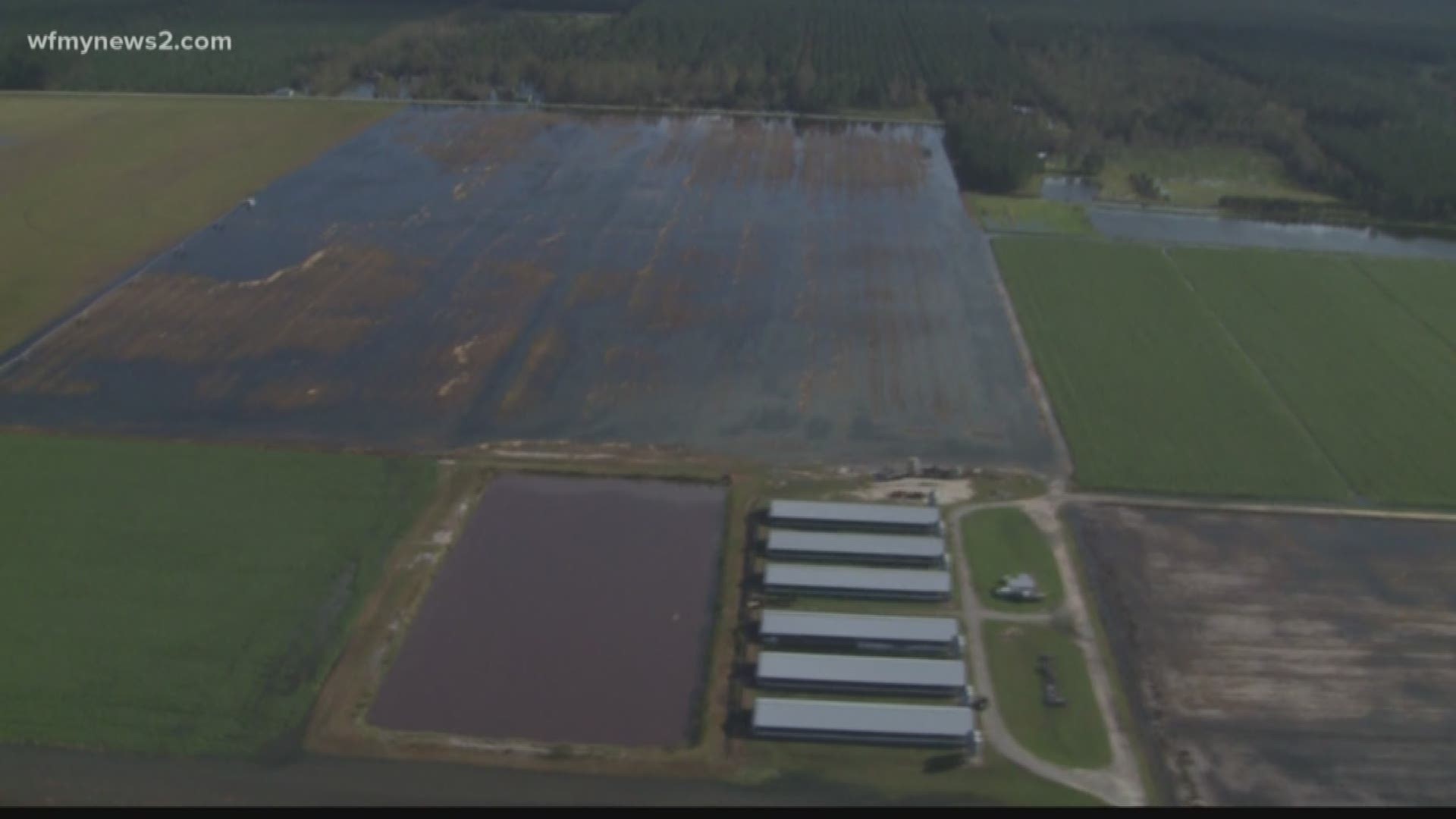 North Carolina Farms Damaged By Florence