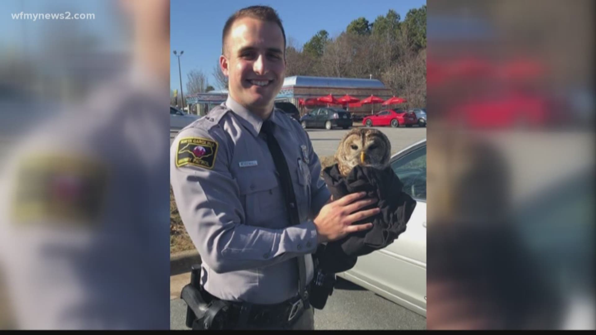 An owl with a broken wing rescued from a median near the Union Cross Road exit in Kernersville is recovering after surgery.