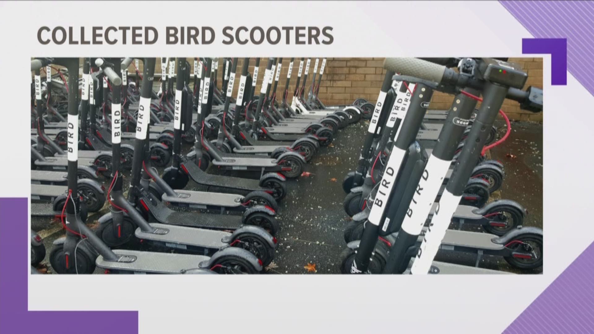 Greensboro has officially banned bird scooters, and one reason could be the dangers they can cause