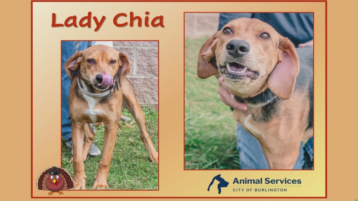 2 The Rescue: Meet Lady Chia