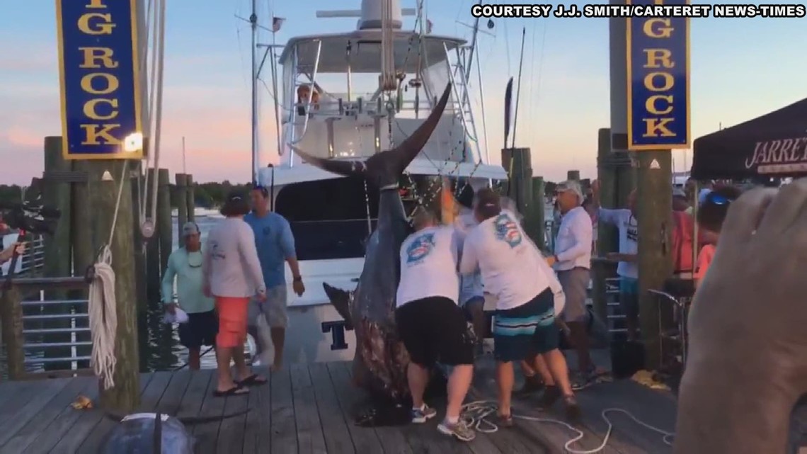 The 'Top Dog' at Big Rock Fishing Tournament Reels in 914Pound Blue