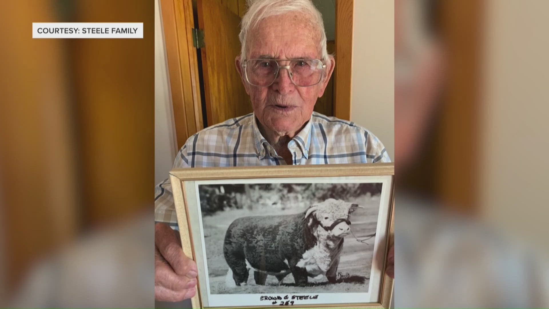 Lexington dog wins 'Best of Breed' at Westminster Dog Show | wfmynews2.com