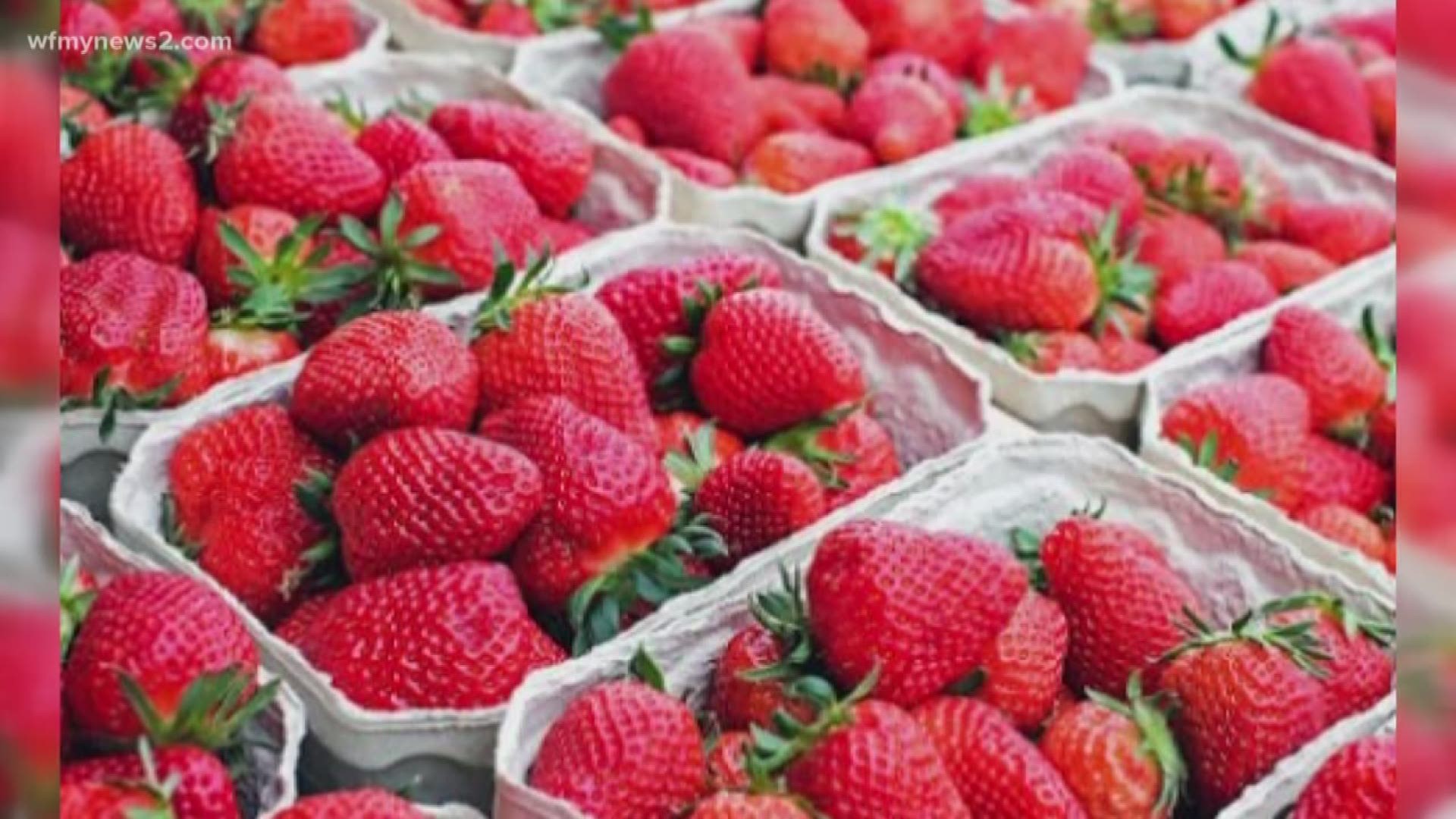 Verify Can You Safely Wash Eat Moldy Strawberries Wfmynews2 Com,Shrimp Newburg