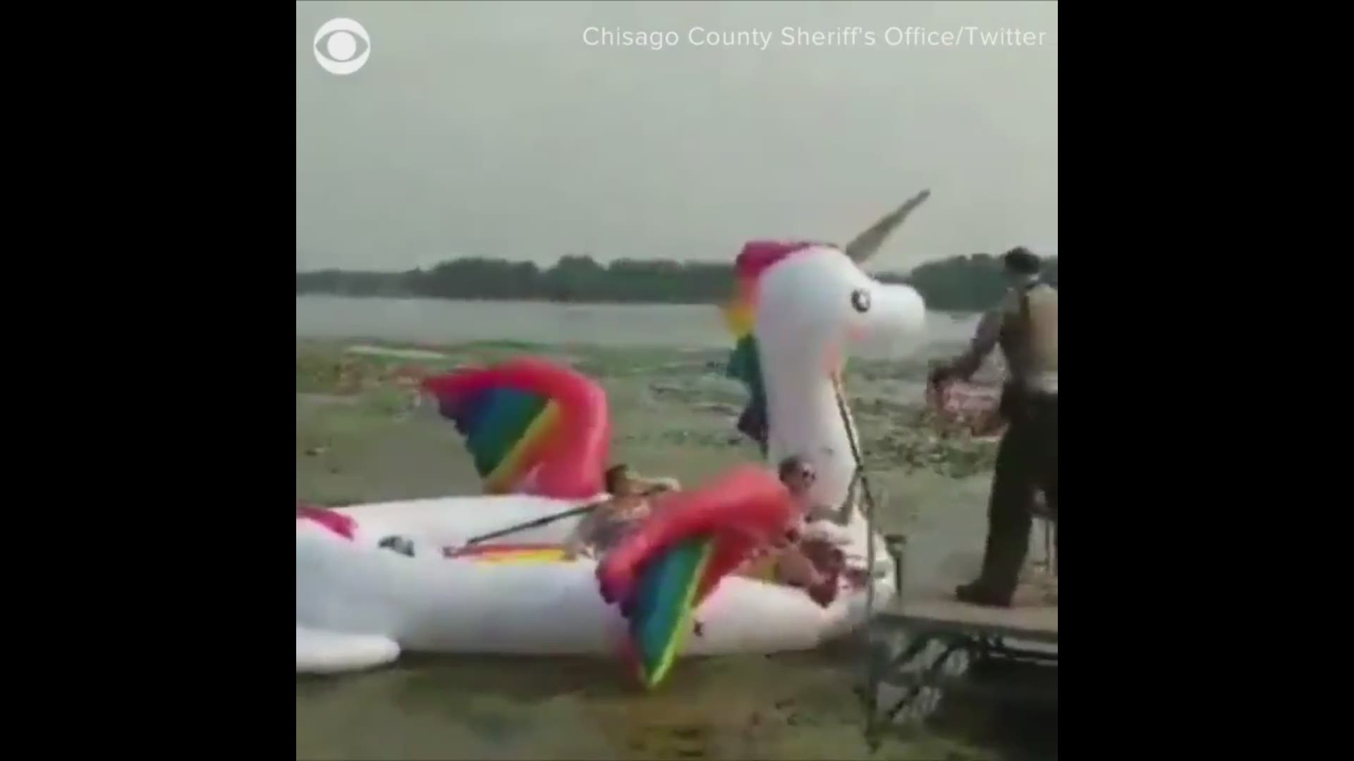 It's something you have to see to believe. A group of women got snagged in some weeds while riding a rainbow unicorn.