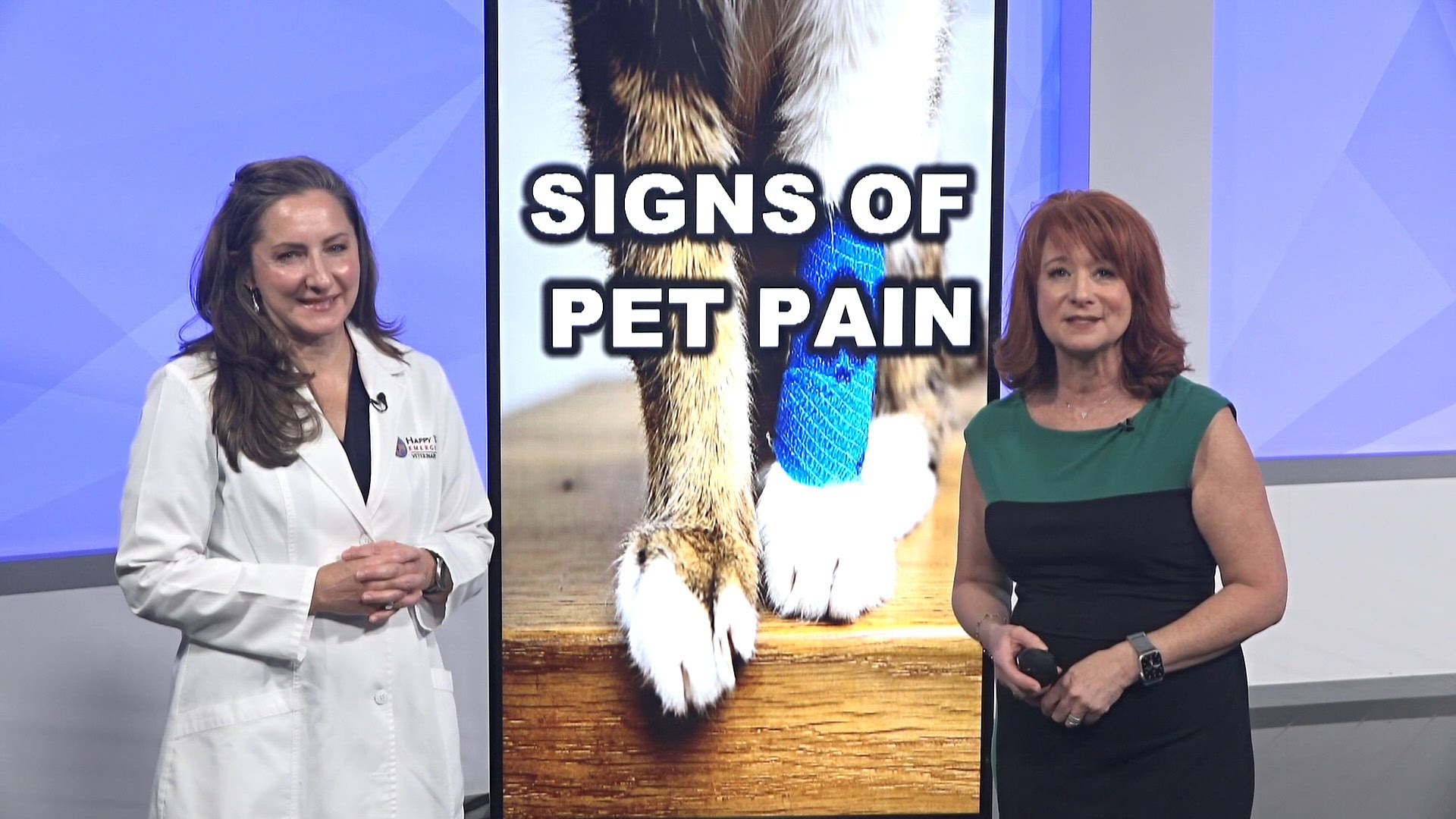 What are the signs for a pet in pain?