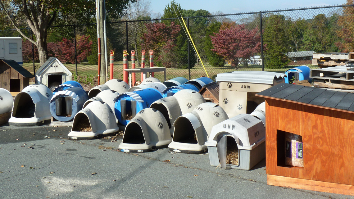 Free dog homes for Forsyth County families