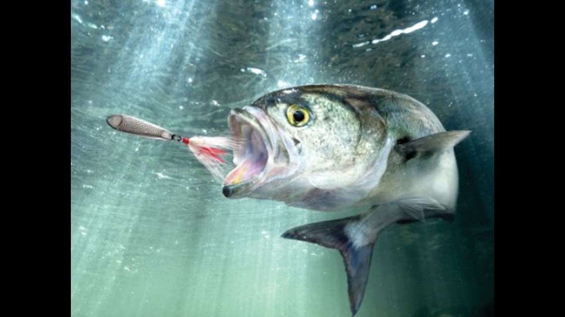 6 Wacky Laws In Tennessee