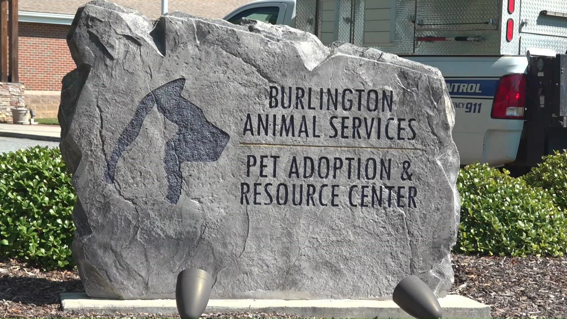 Video Title Examples Burlington Animal Services urgently needs pet food donations to help ...
