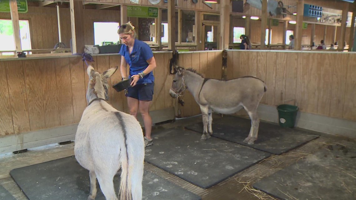 Greensboro Science Center's Veterinarian Tech shares her story of