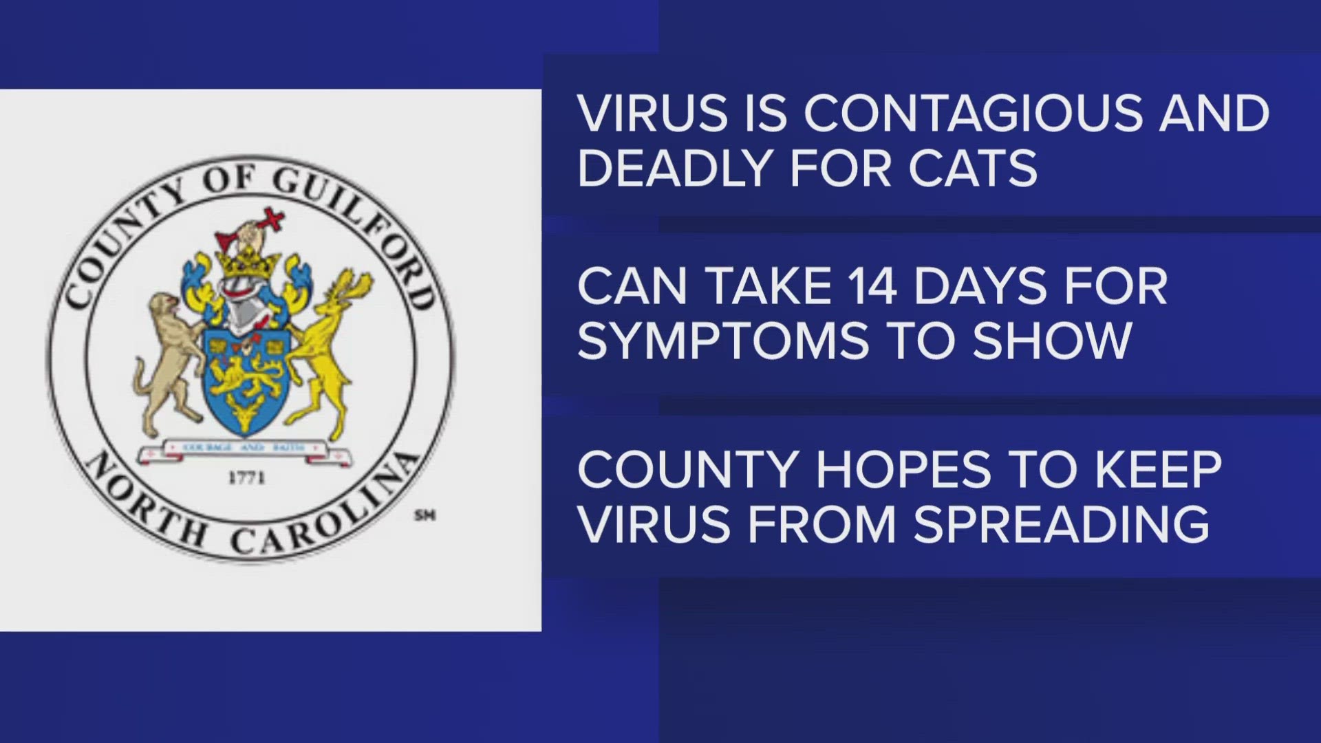 A highly contagious virus that can kill cats is spreading amongst stray cats, the resource center says.