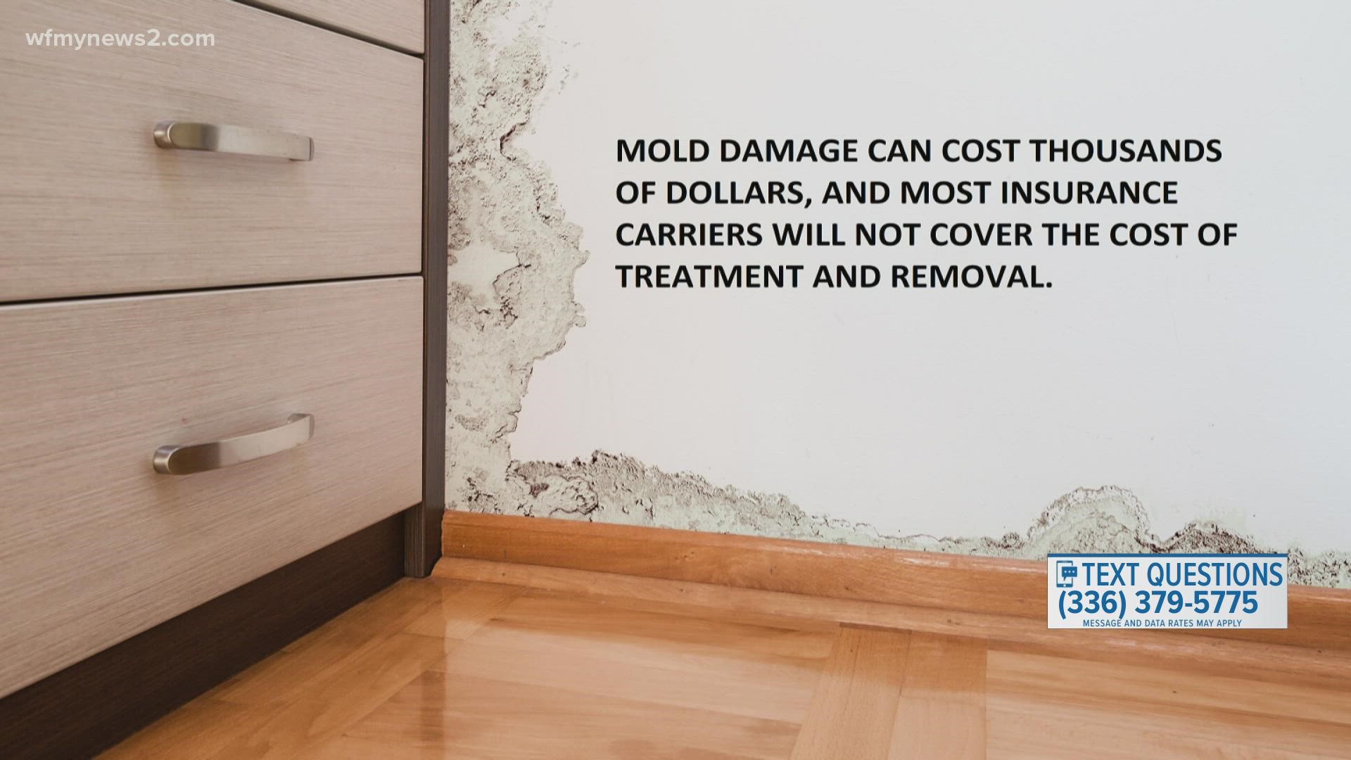 A growing number of home buyers are opting to forgo home inspections in hopes their offers get accepted faster. The trouble is they are finding mold weeks after.