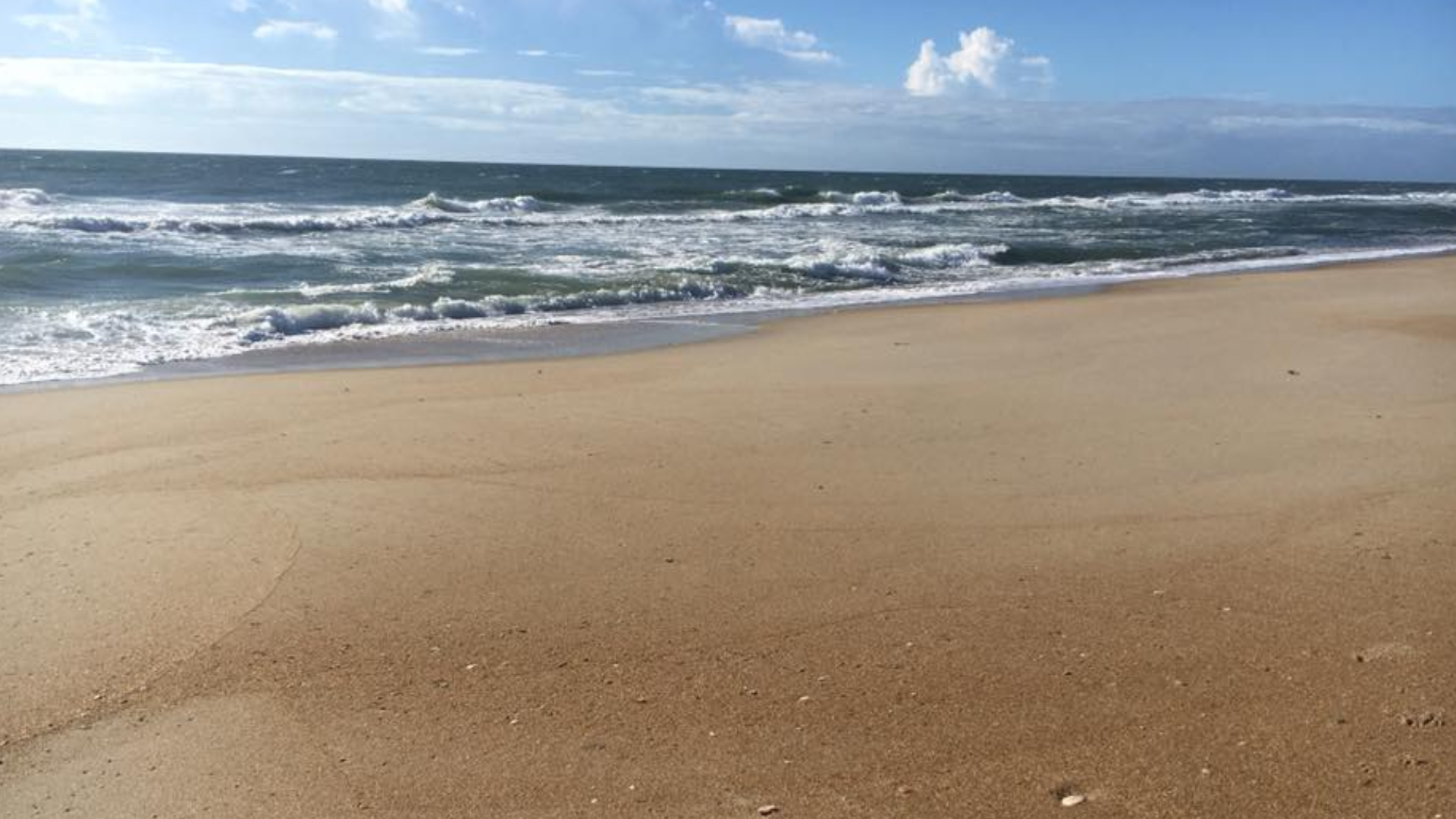 Safety Rules For Driving On The Beach At Outer Banks