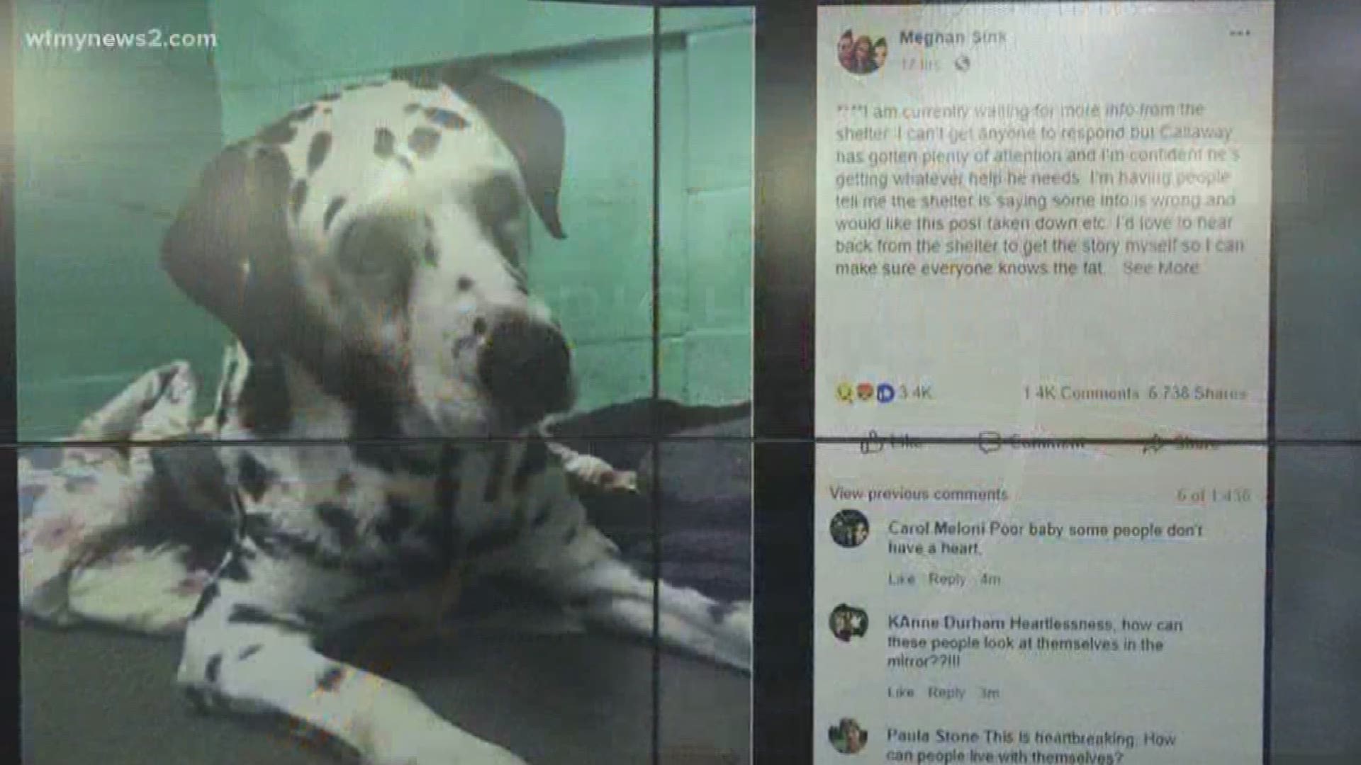 A dog was abandoned at Guilford County Animal Services but the director says they're still trying to track down the owner. They don't have that information or any of the dog's past medical records, so they're treating him like a stray for the time being.
