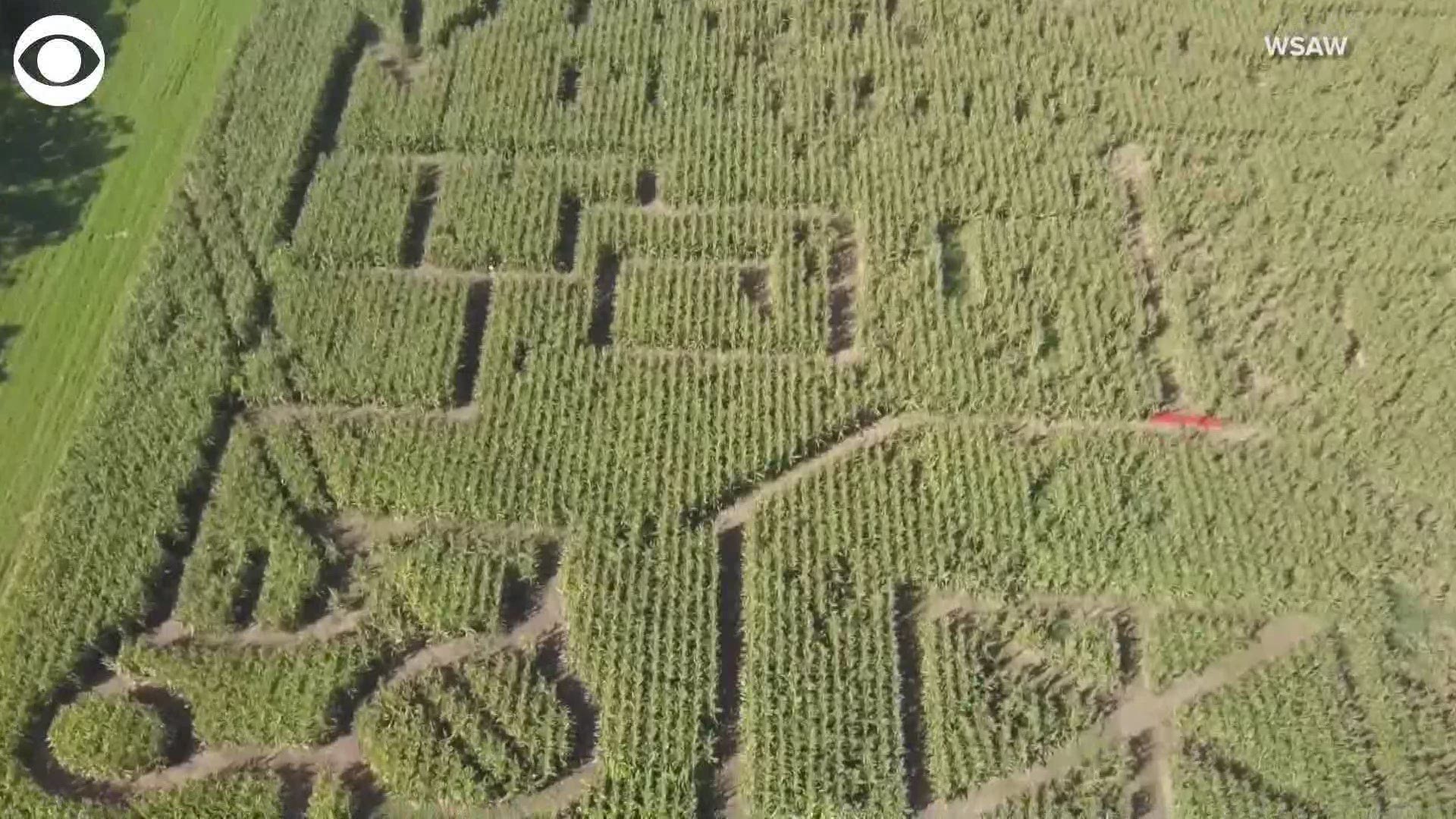 This corn maze was created with a special purpose in mind!