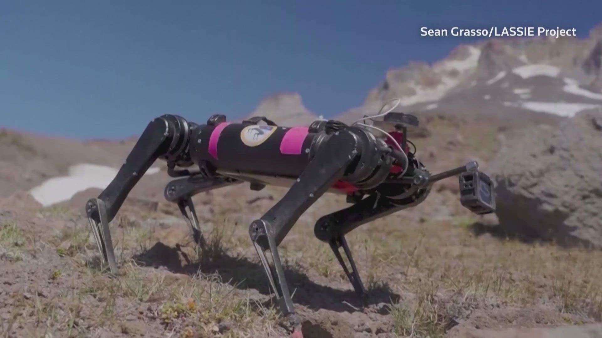 A robotic dog named Spirit is preparing for future missions to the moon.