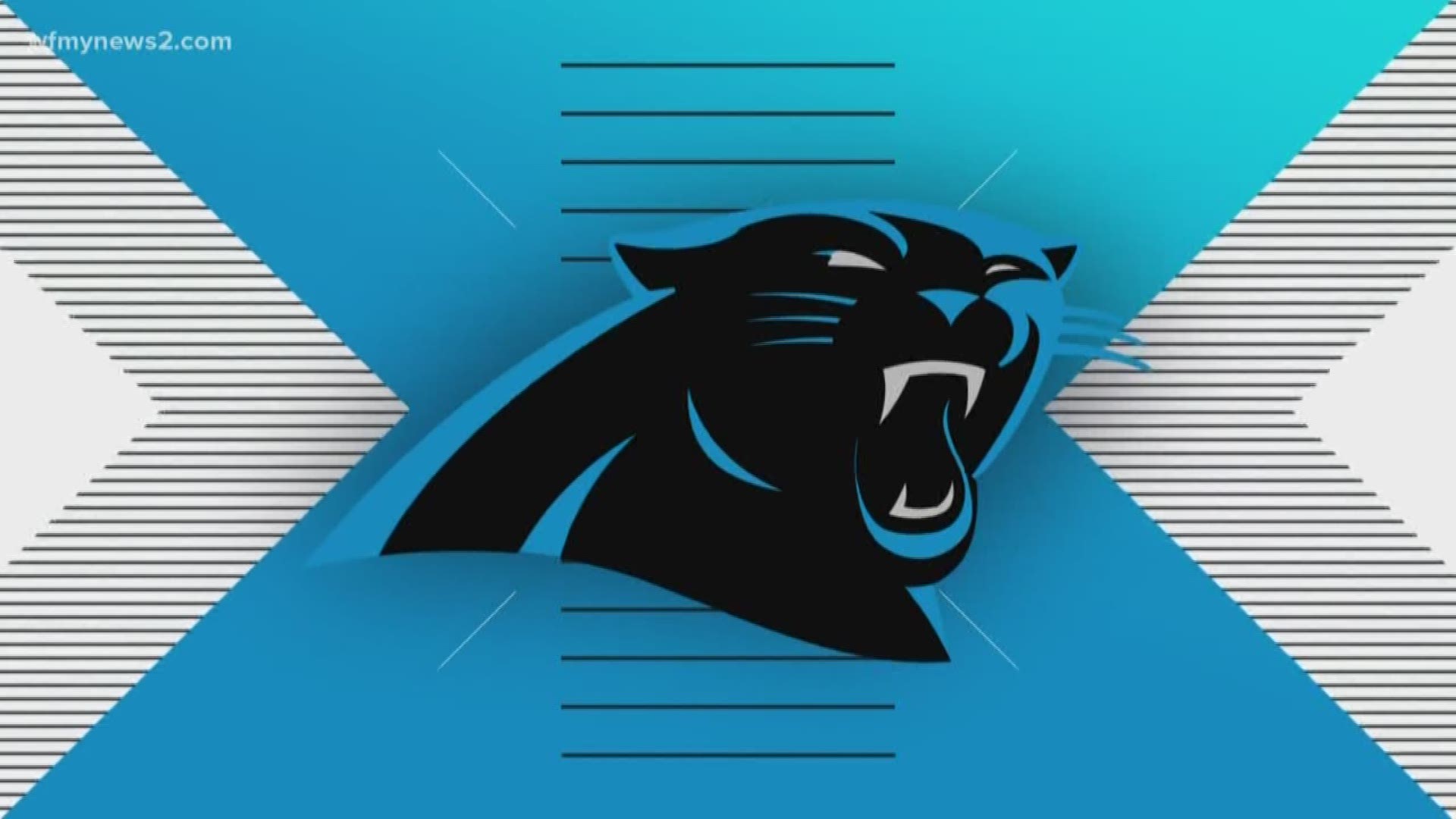Fan Experiences Panthers Training Camp For The First Time