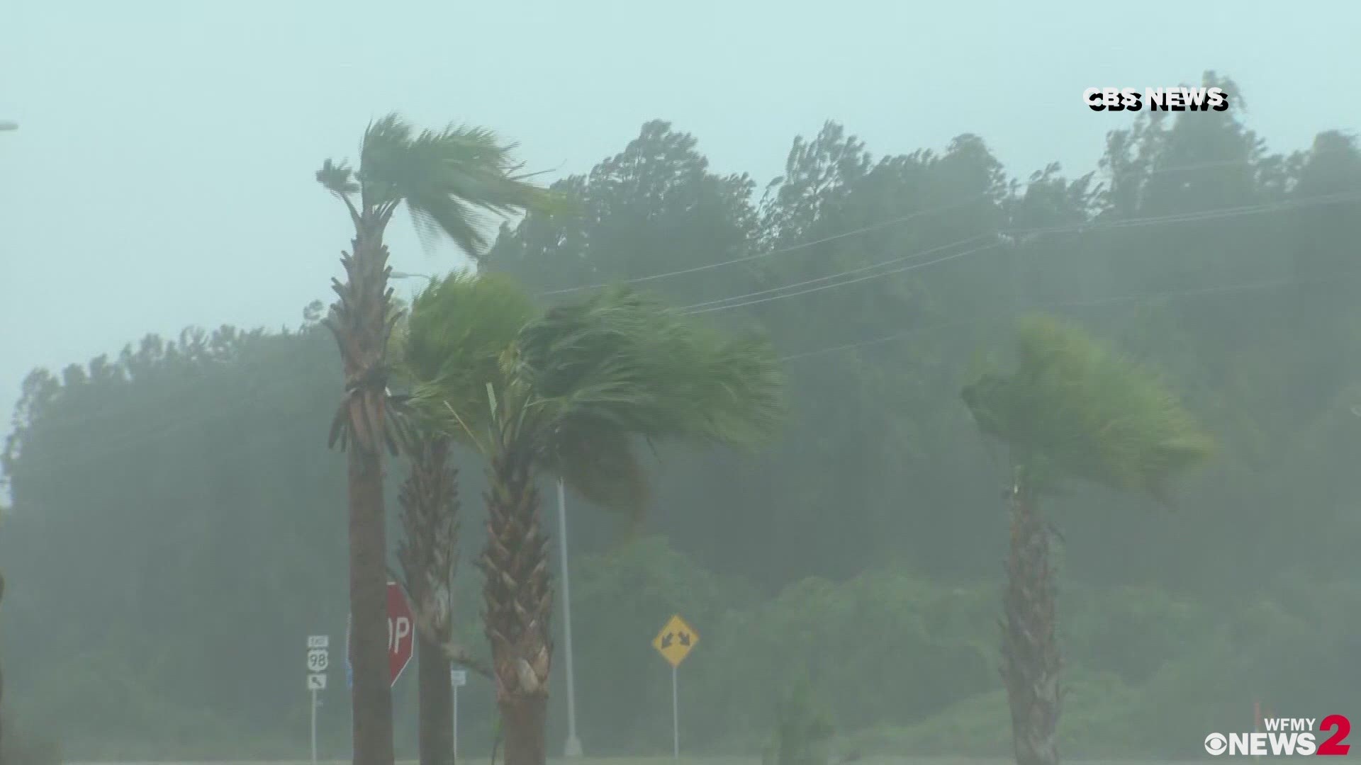 Hurricane Michael Unleashes High Winds, Huge Storm Surge On Florida