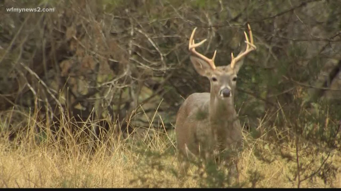 Wildlife commission license fee changes go into effect, Fishing/Hunting